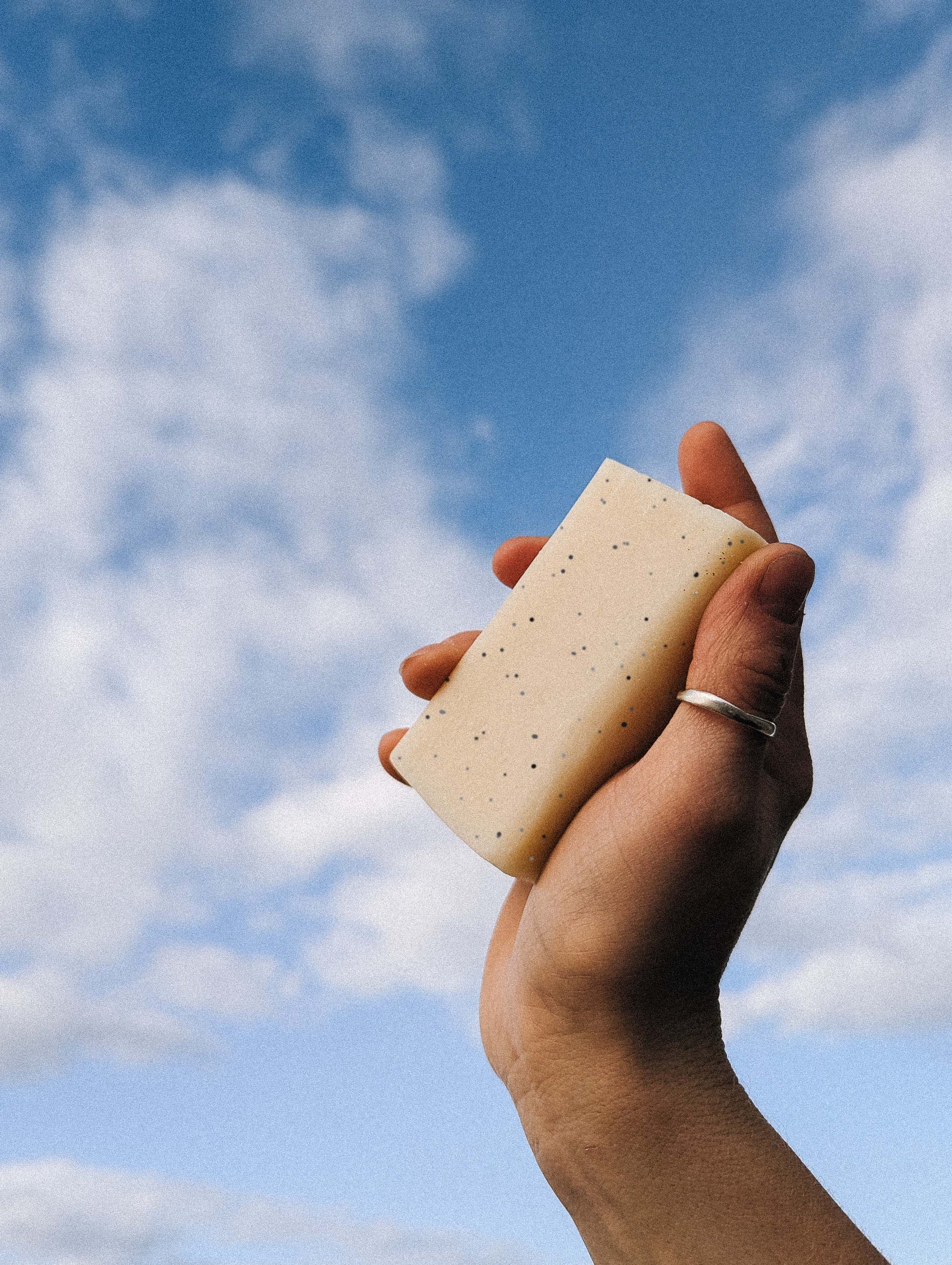 lavender poppy seed soap Lavender & Litsea with Poppy Seeds – Wylder Naturals