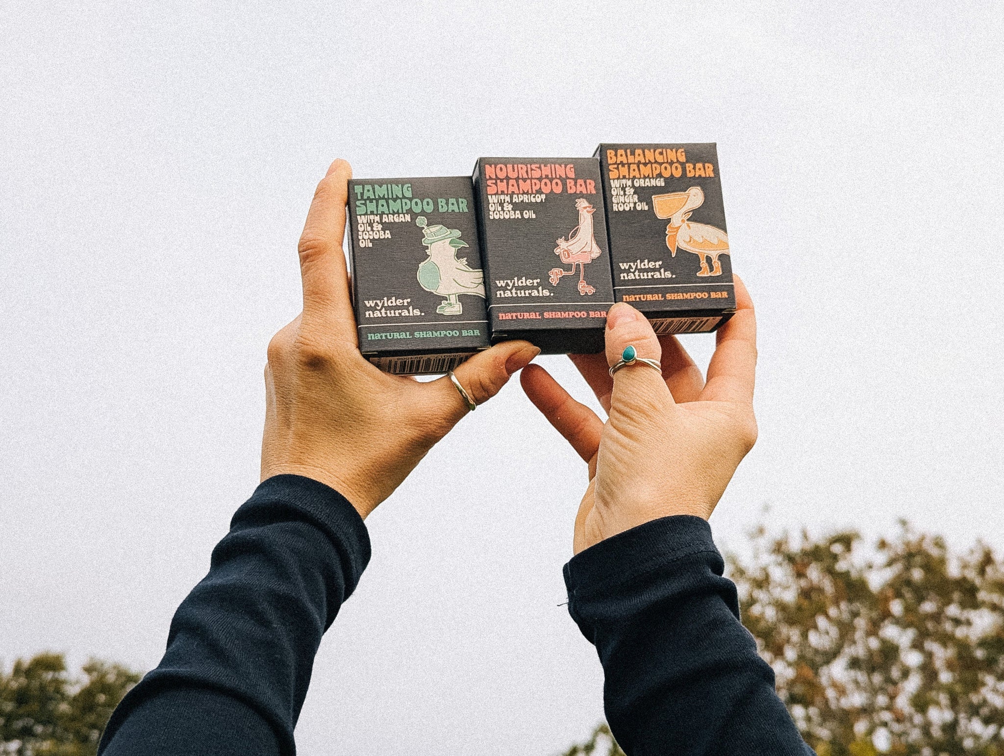 Two hands holding three wylder naturals shampoo bars against a blurred outdoor background